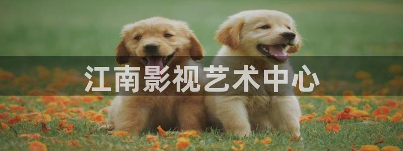 人人橹在线观看视频97