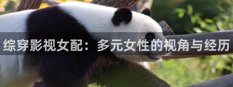 97视频在线影院